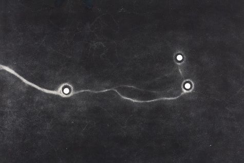 <p>Maximilian Prüfer, Forming Thoughts 8 - Detail 2_2021_8_forming thoughts 2020, Spuren von sehr kleinen Ameisen die im Kollektiv eine Ameisenstraße bildeten, Naturantypie und Papier, 82 x 111 cm</p>