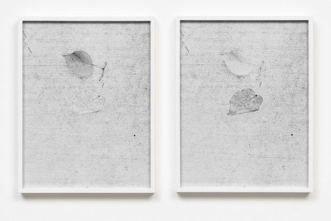 <p>Johanna Jaeger, horizontal questions, circular replies, 2016, Wandelement, auf die Wand kaschierter Blueback Print, 438 x 100 x 180 cm, Foto: Johanna Jaeger</p>