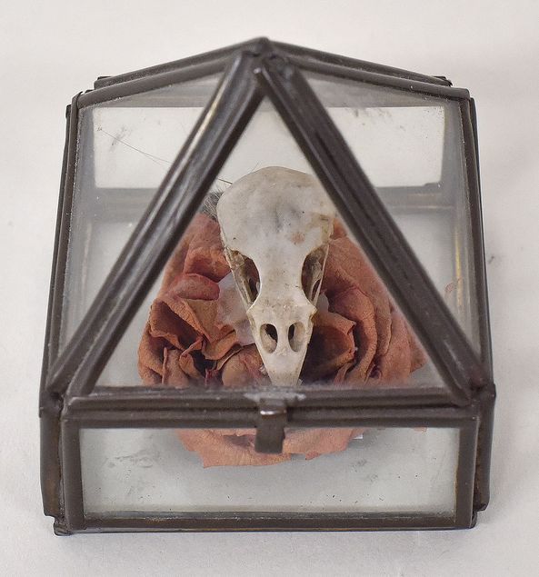 Elisabeth Marx, ohne Titel, undatiert, Objekt aus Glas, Metall und Vogelschädel, 6 cm x 5,5 cm  x 5,5 cm, © VG Bild Kunst, Bonn 2023